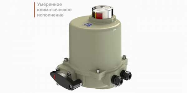 Электропривод четвертьоборотный ГЗ-ОФ-80/21 К (220В/380В) 21 об./90сек.