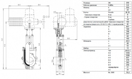 Задвижка HAWLE 3600EL DN 250 PN 6 шиберная ножевая гильотинного типа с адаптером для электропривода AUMA