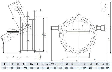 Клапан обратный HAWLE 9883K DN 600 PN 16 с рычагом и противовесом