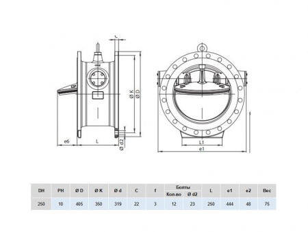 Клапан обратный Hawle 9885 DN 250 PN 10 фланцевый c наклонным седлом