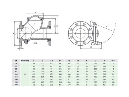 Клапан обратный Hawle 9841 DN 50 PN 16 фланцевый шаровой