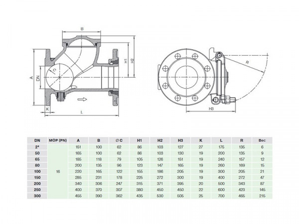 Клапан обратный Hawle 9841 DN 50 PN 16 фланцевый шаровой