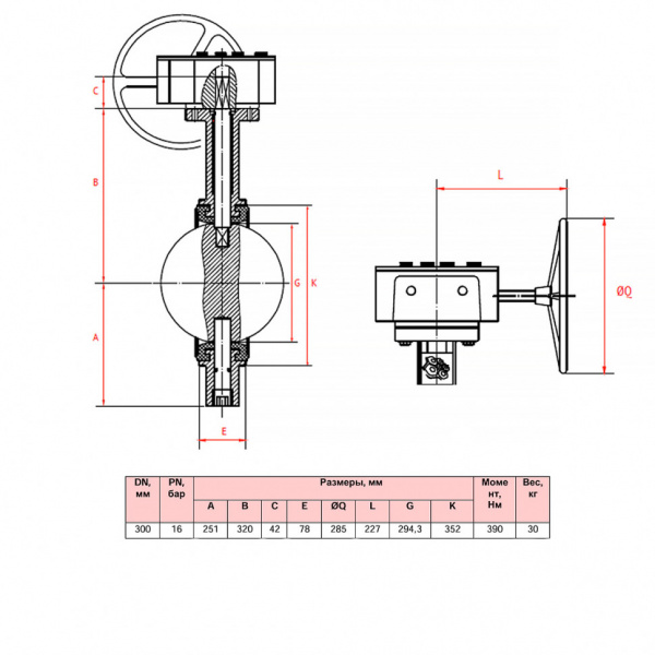 Затвор дисковый поворотный РАШВОРК 201 Ду300 Ру16 чугунный с пневмоприводом с воздушной пружиной РАШВОРК SR-1579, диск нерж.сталь AISI304 (CF8)