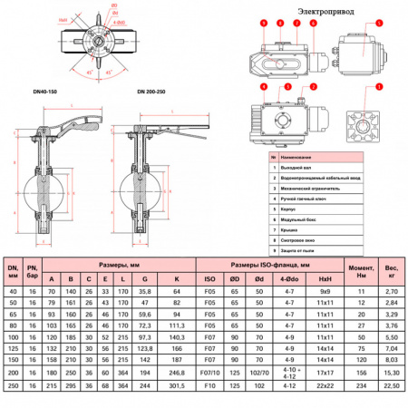 Затвор дисковый поворотный РАШВОРК 200 Ду250 Ру16 межфланцевый чугунный с электроприводом РАШВОРК 900 220В