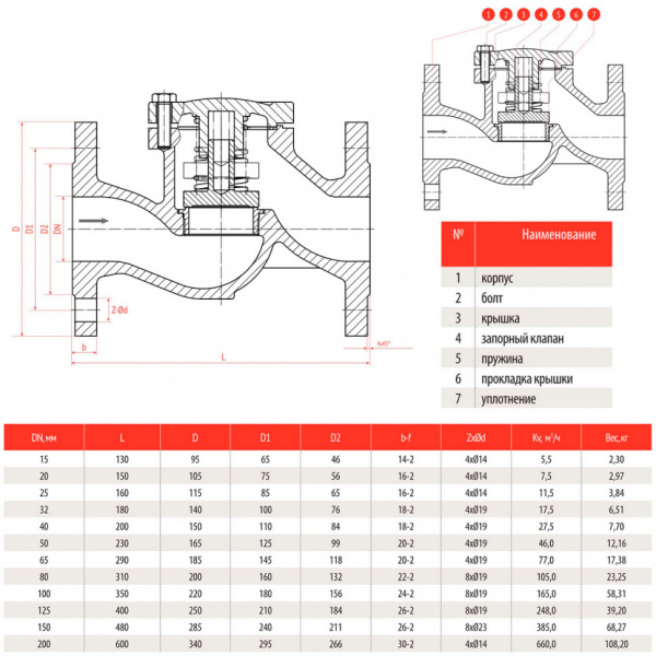 Клапан обратный подъемный РАШВОРК 487 Ду200 Ру16 фланцевый чугунный