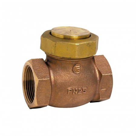 Клапан Tecofi CS2143 2" обратный подъемный резьбовой PN 25
