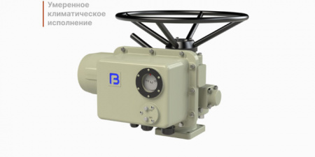 Электропривод многооборотный ГЗ-А.100 (220В) 24 об./мин.