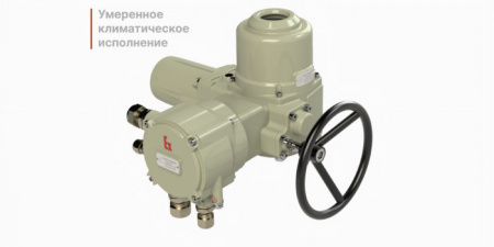 Электропривод однооборотный ГЗ-ОФВ-5000 (380В) 15 об./90сек.