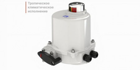 Электропривод четвертьоборотный ГЗ-ОФ-9/6 К 24В (24В) 6 об./90сек.