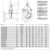 Задвижка AVK 02/60 DN 65 PN 10/16 клиновая фланцевая Задвижка AVK 02/60 DN 65 PN 10/16 клиновая фланцевая