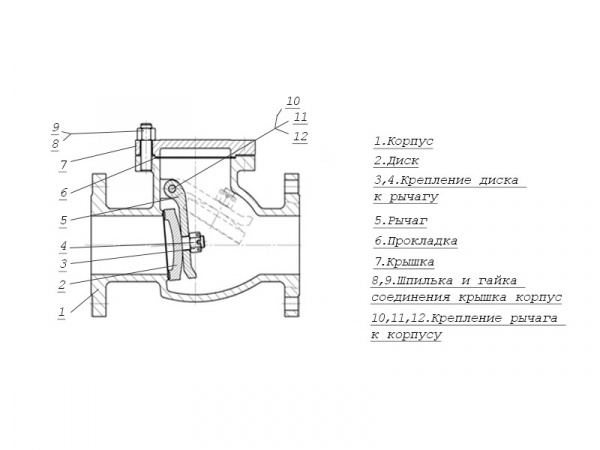 Клапан обратный 19лс76нж Ду 50 Ру 16 поворотный фланцевый